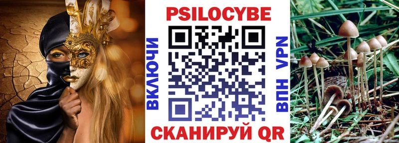 Галлюциногенные грибы GOLDEN TEACHER  дарк нет официальный сайт  Бабаево 
